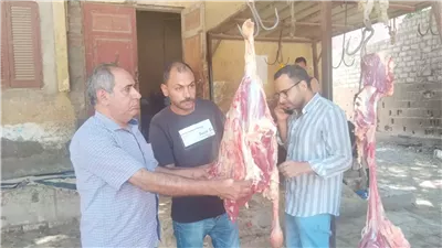 التحفظ على لحوم فاسدة وإعدام عجل مريض في أسيوط