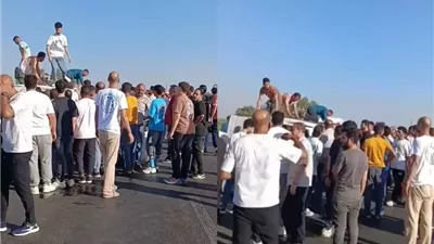 إصابة 11 شخصاً في انقلاب ميني باص على الطريق الحر شبرا – بنها