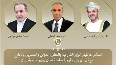 وزير الخارجية يبحث هاتفياً مع نظيريه الإيراني والعماني جهود خفض التصعيد وضمان حرية الملاحة