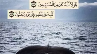 فضائل التسبيح في القرآن والسنة.. لماذا يُعد «سبحان الله وبحمده»