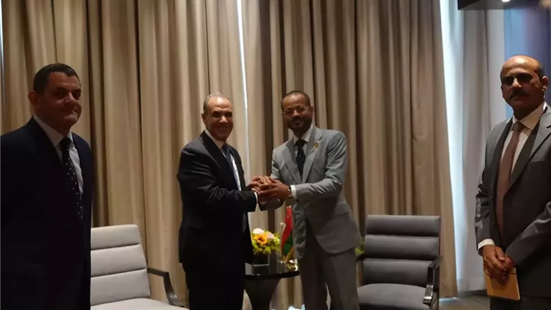وزير الخارجية ونظيره