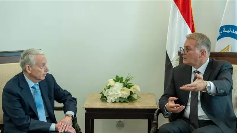 المهندس كريم بدوي