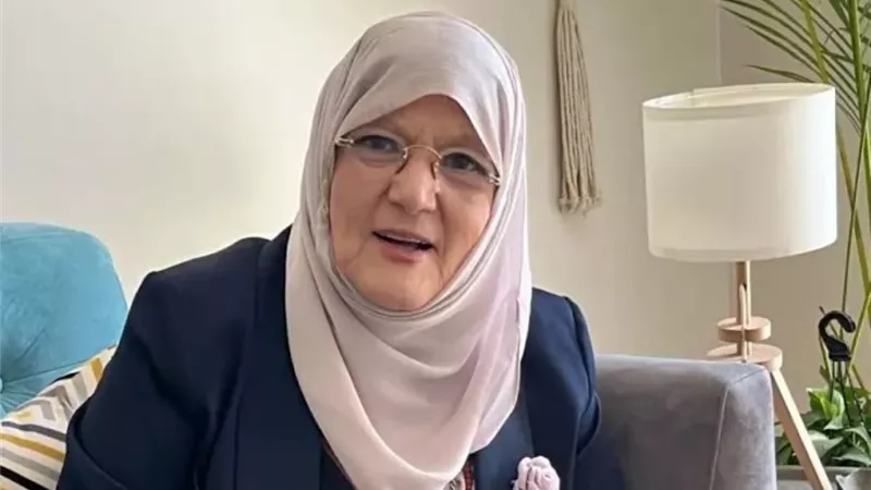 شمس البارودي
