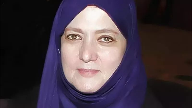 شمس البارودي