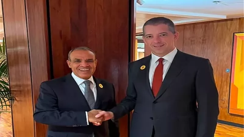 الدكتور بدر عبد العاطي