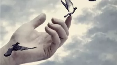 أسباب تراجع الرحمة