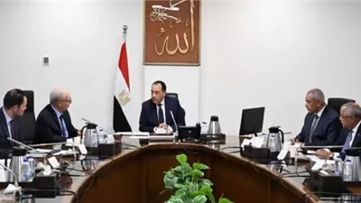 رئيس الوزراء يتابع مستجدات جهود إعادة هيكلة الشركات المملوكة للدولة