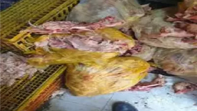 ضبط 4 أطنان و 147 كيلو دواجن ولحوم وأسماك غير صالحة للاستهلاك