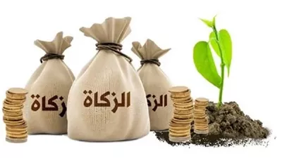هل يجوز توجيه الزكاة لتأهيل الفقراء لسوق العمل؟