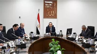 مدبولي يستعرض الرؤية المقترحة لتطوير زراعة وصناعة الكتان في مصر