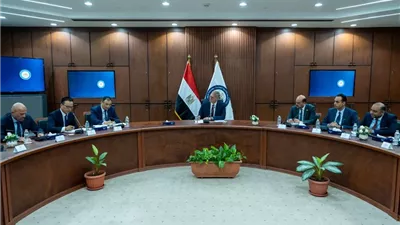 مصر والصين تدفعان بمشروعات استراتيجية في قطاع البتروكيماويات
