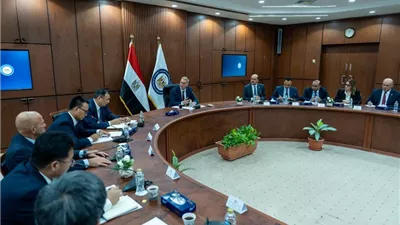 بدوي: مجمع البحر الأحمر يدعم مصر كمركز إقليمي للصناعات البتروكيماوية