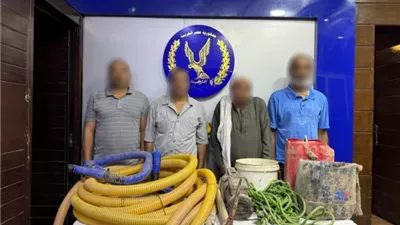 سقطوا داخل حفرة عمقها 7 أمتار.. ضبط 4 متهمين بالتنقيب عن الآثار