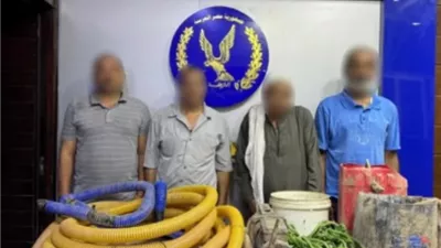 القبض على 4 ينقبون عن الآثار أسفل منزل فى التبين