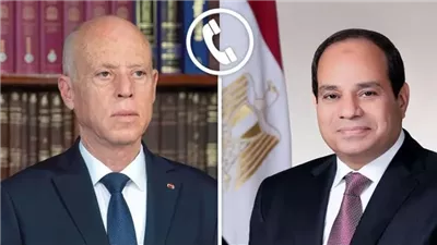 الرئيس السيسي يهنئ قيس سعيد بالذكرى الـ69 لعيد الجمهورية التونسية