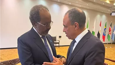 وزير الخارجية يبحث مع الرئيس الصومالي دعم الاستقرار في الصومال