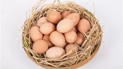 دراسة: البيض البلدي قد يضاعف الضرر البيئي