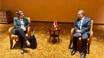 وزير الخارجية يؤكد دعم مصر للجهود الرامية إلى ترسيخ الأمن بالصومال