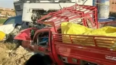 مصرع شاب وإصابة 6 آخرين أثر تصادم نقل وتروسيكل بصحراوي ملوي