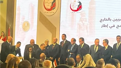 وزير الخارجية: حريصون على دعم المصريين بالخارج وتقديم الرعاية لهم