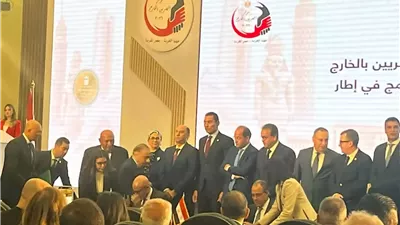 وزير الخارجية يؤكد حرص القيادة السياسية على دعم المصريين بالخارج