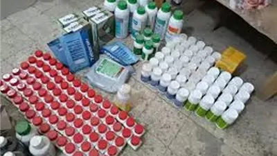 ضبط 415 عبوة مبيدات زراعية مجهولة المصدر في حملة بالغربية