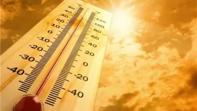 شبورة ورياح وأجواء شديدة الحرارة.. تفاصيل طقس اليوم