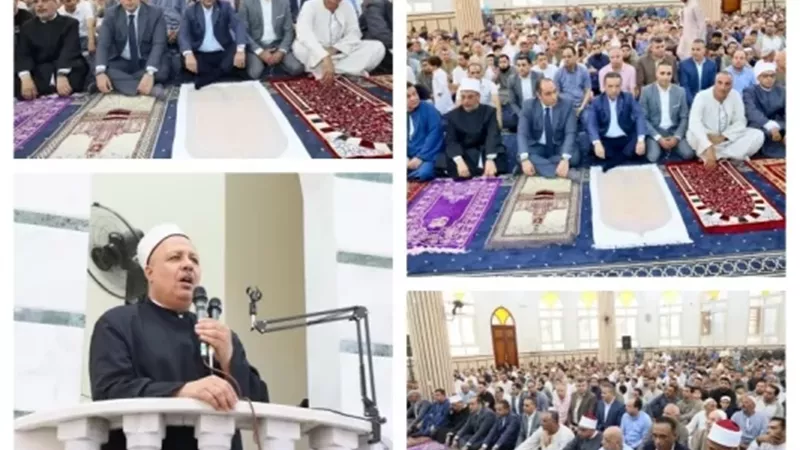 محافظ المنوفية يؤدي