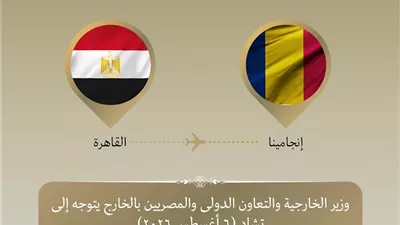 وزير الخارجية يتوجه إلى تشاد لرئاسة اللجنة المصرية التشادية المشتركة
