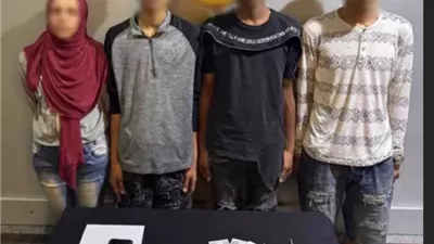 ضبط 3 عناصر إجرامية بتهمة ترويج مخدر الآيس في المنتزه