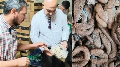 ضبط 7 أطنان كفتة وسجق وهامبورجر غير صالحة للاستهلاك بالقليوبية