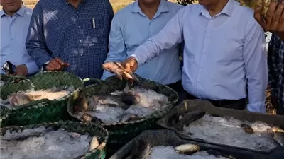 رئيس جامعة بنها يشهد حصاد البلطي بكلية زراعة مشتهر ويعلن التوسع في الإنتاج السمكي