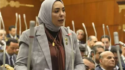 وفاء رشاد: توجيهات الرئيس بمتابعة المشروعات العقارية تعكس حرصه على حقوق المواطنين