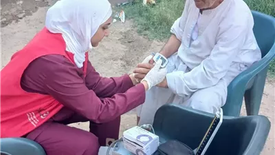 «100 يوم صحة» تواصل تقديم خدماتها المجانية بالإسماعيلية