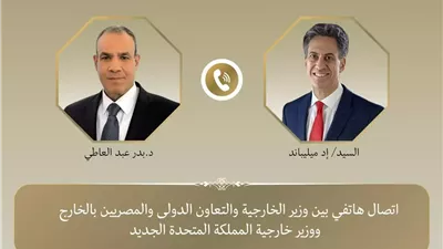 وزير الخارجية يؤكد ثوابت الموقف المصري بشأن حرية الملاحة في الممرات الدولية