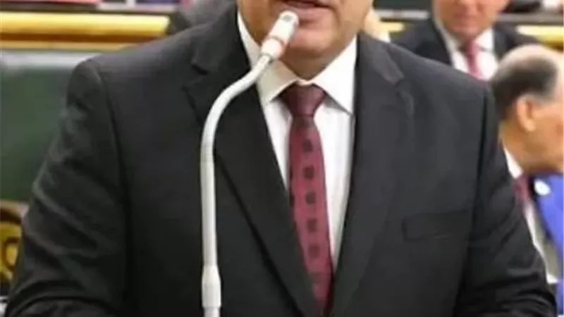 النائب عماد الغنيمي