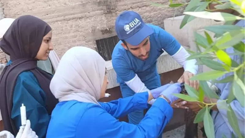 بوابة الجمهورية