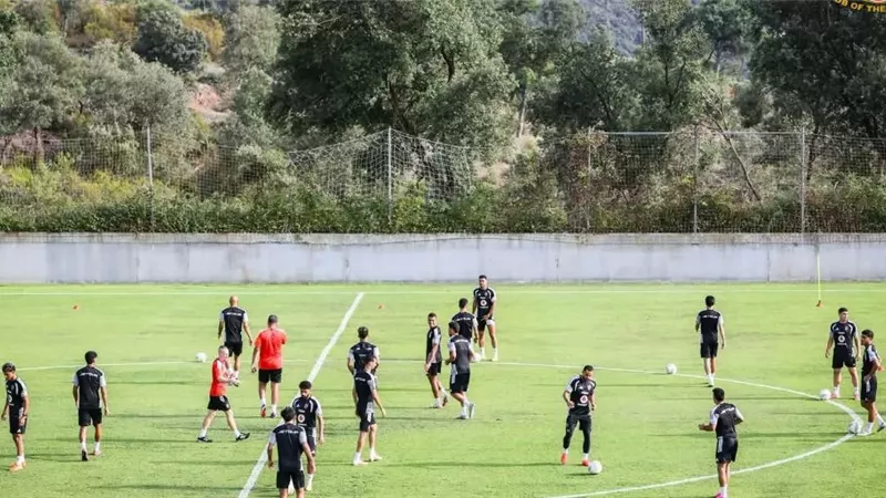 الأهلي