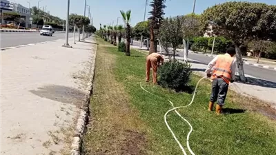الإسماعيلية تواصل رفع كفاءة الشوارع والميادين