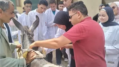 قافلة تنموية شاملة بقرية النقراشي بإيتاي البارود
