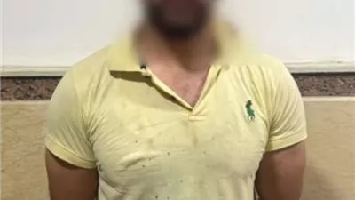 ضبط المتهم في فيديو التعدي على سيدة وطفلها بالإسماعيلية