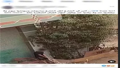 القبض على عاطل اعتدى بالضرب على كلب بشبرا الخيمة