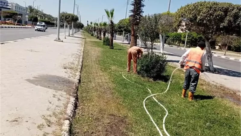 بوابة الجمهورية