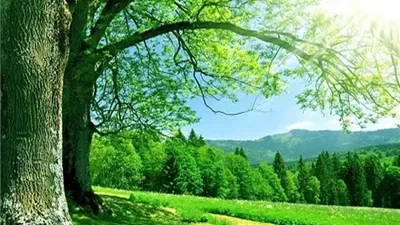 الذكر حياة القلب...فضائل الحوقلة كنز الجنة