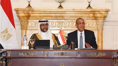 وزير الخارجية يبحث دعم توسع الشركات المصرية في الأسواق الأفريقية