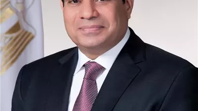 الرئيس السيسي يلتقي رئيس الوزراء وزير الخارجية القطري