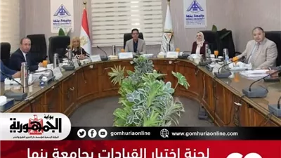 لجنة اختيار القيادات بجامعة بنها تجري مقابلات المتقدمين لشغل 4 مناصب قيادية