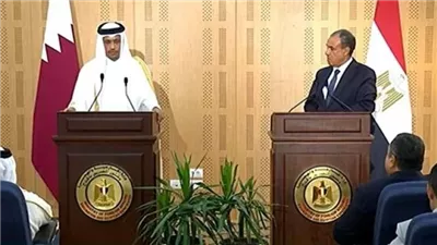 وزير الخارجية يؤكد رفض مصر المساس بحرية الملاحة في الخليج