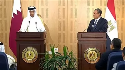 وزير الخارجية : العلاقات السياسية مع قطر تشهد «نقلة نوعية»