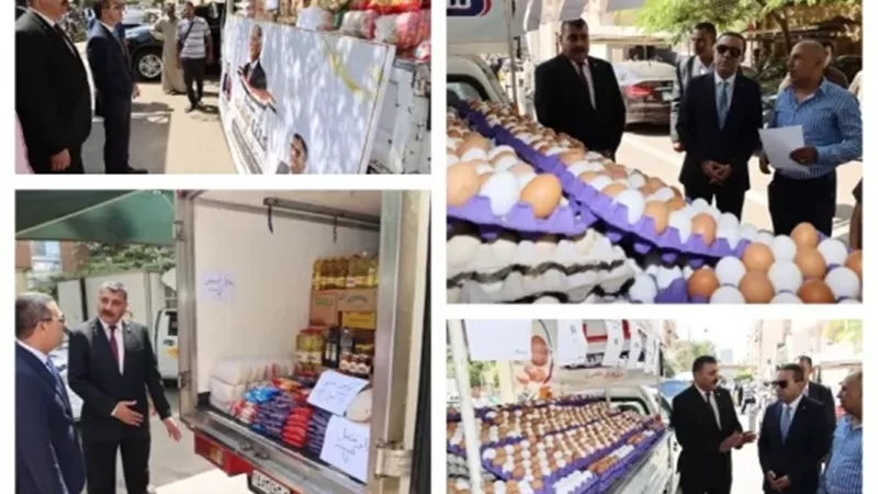 محافظ المنوفية يدشن